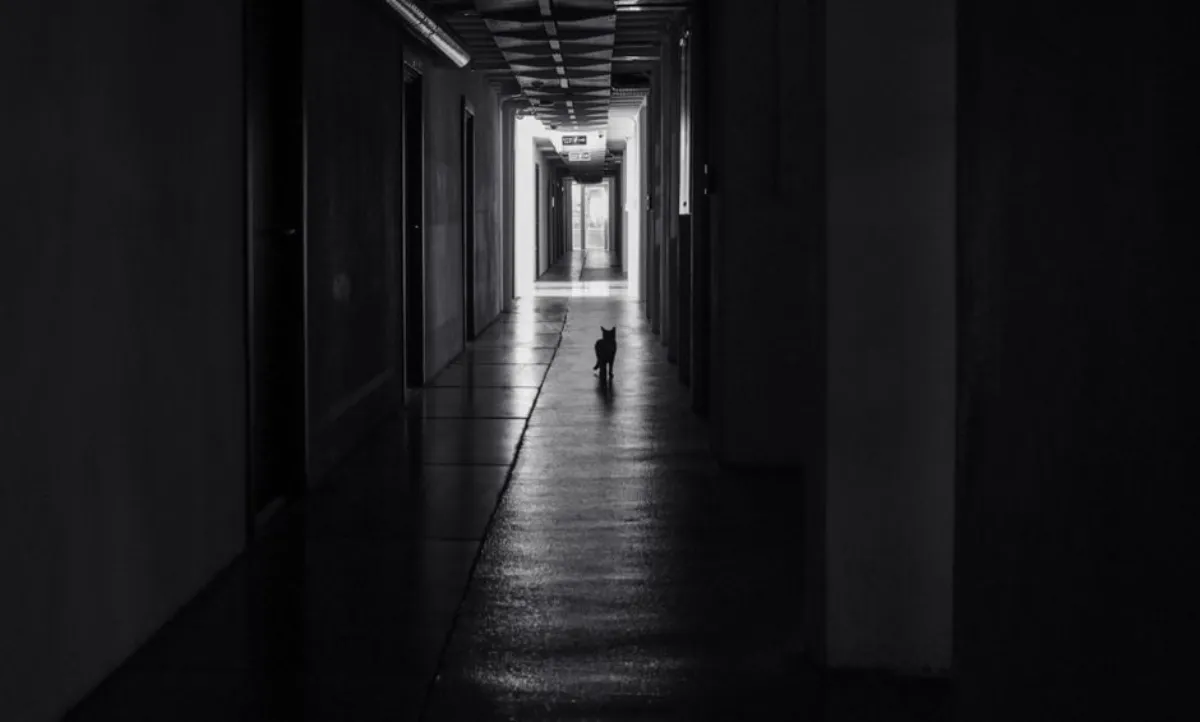 dark hallway