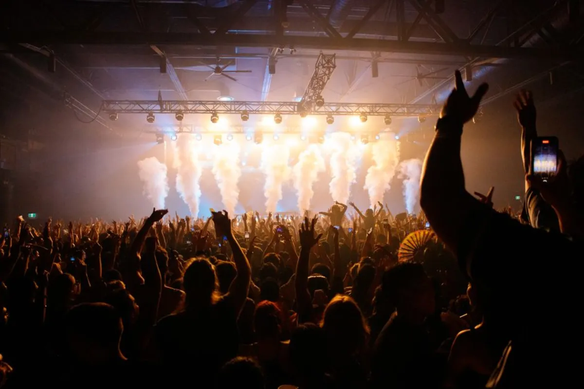 concert crowd