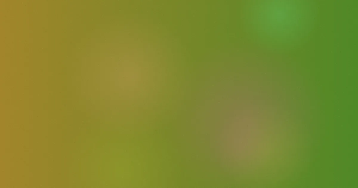 看不见的客人电影解说对比
