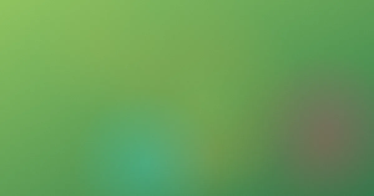 成v人电影在线观看对比：一次复盘