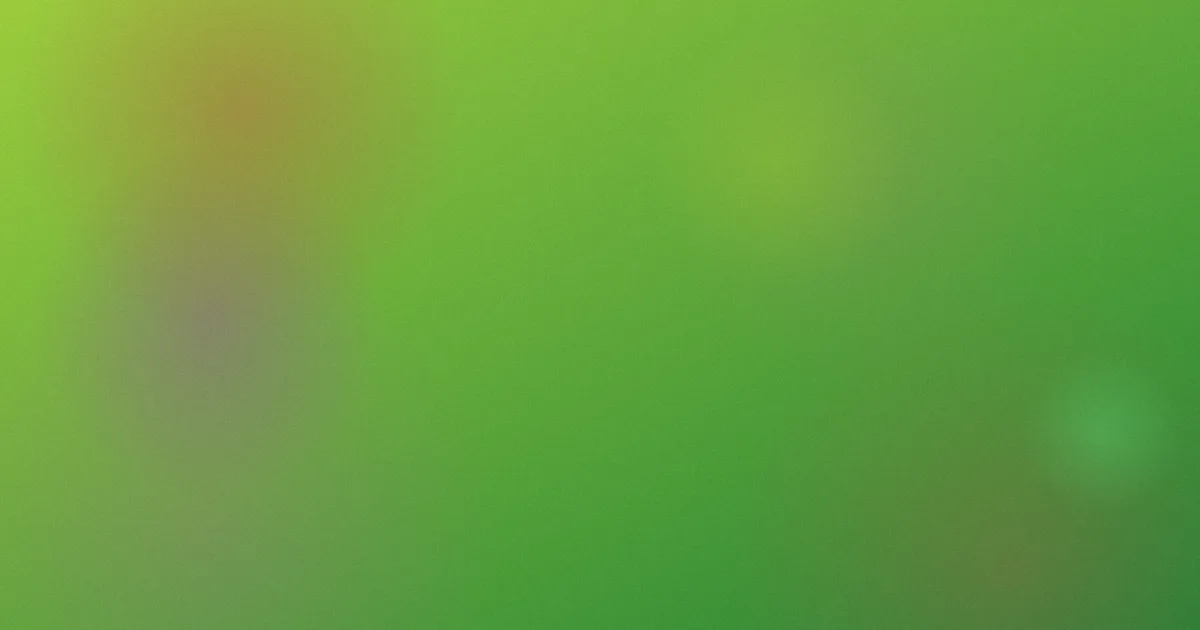 手机在线看片你懂的推荐：新手入门